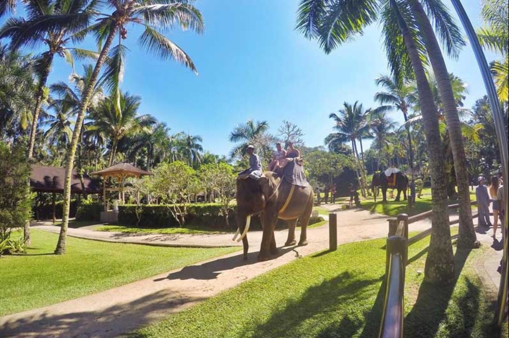 27 Tempat Wisata Anak dan Keluarga Terlengkap di Bali